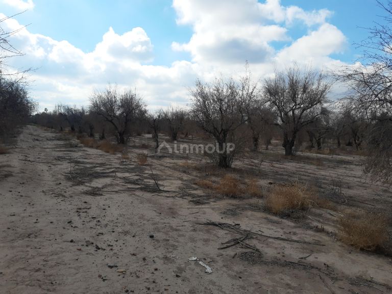 Terreno en Venta en Maipu, Mendoza