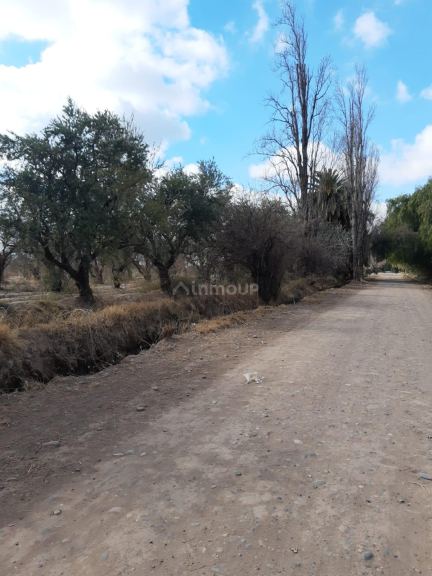 Terreno en Venta en Maipu, Mendoza
