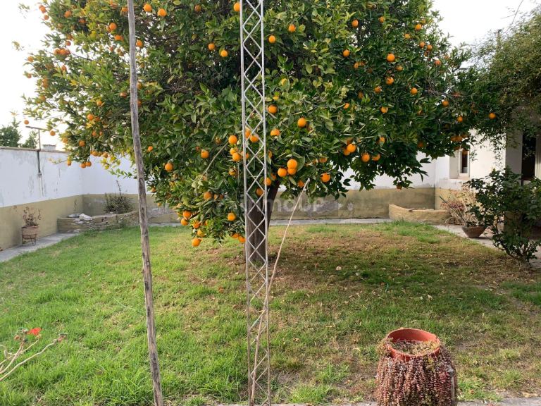 Casa en Venta en Maipu, Mendoza - USD 110.000 | Inmoup - 17
