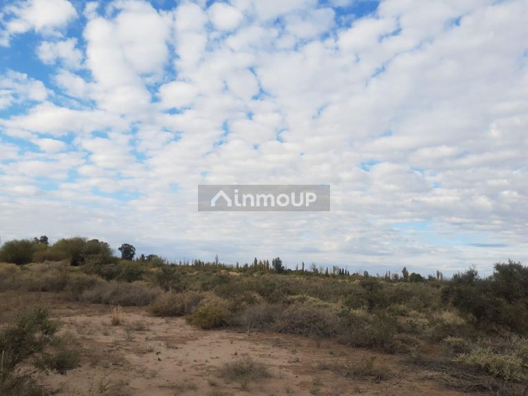 Finca en Venta en Lavalle, Mendoza - USD 60.000 | Inmoup - 8