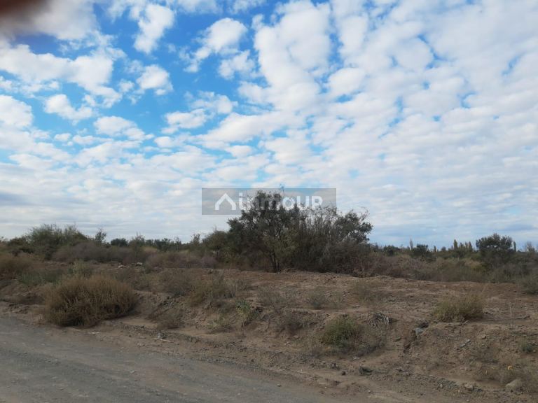 Finca en Venta en Lavalle, Mendoza - USD 60.000 | Inmoup - 6