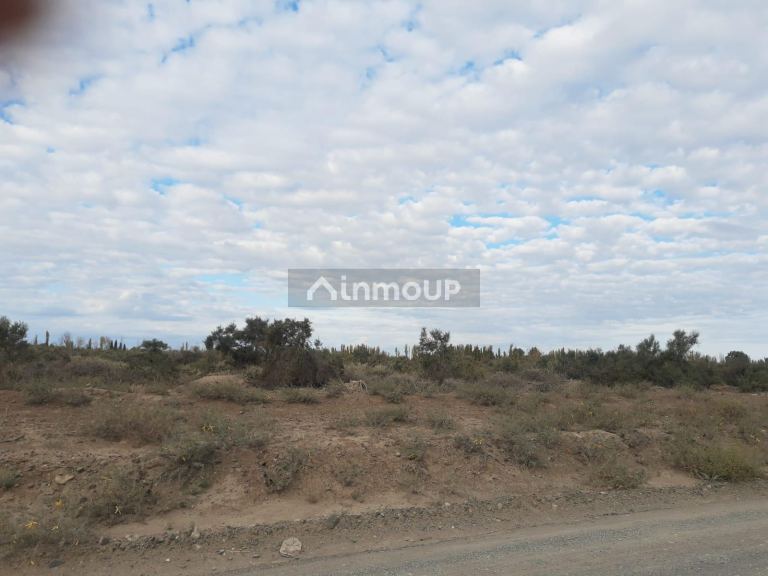 Finca en Venta en Lavalle, Mendoza - USD 60.000 | Inmoup - 7