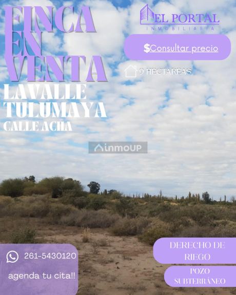 Lavalle Gral Acha & C 8