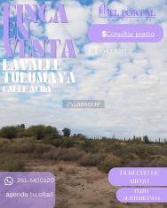 Lavalle Gral Acha & C 8