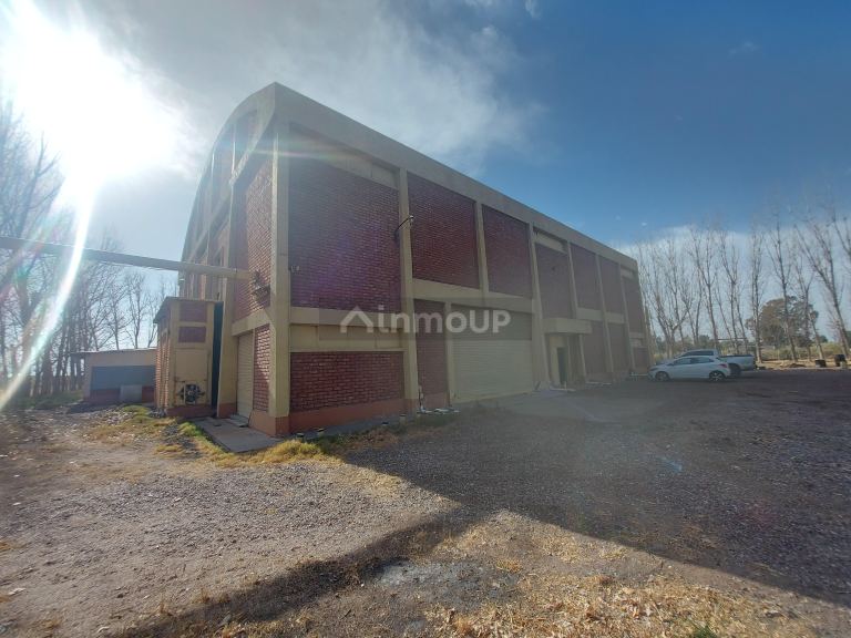 Bodega en Alquiler en Santa Rosa, Mendoza