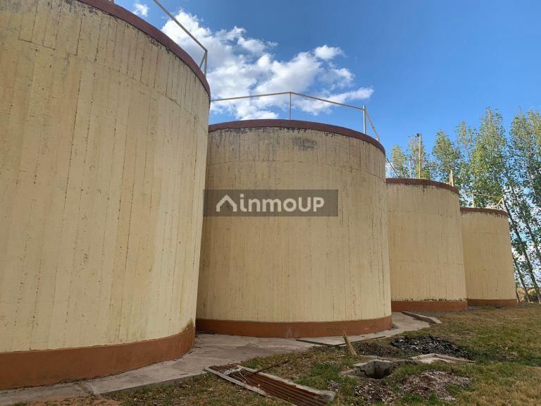 Bodega en Venta en Santa Rosa, Mendoza