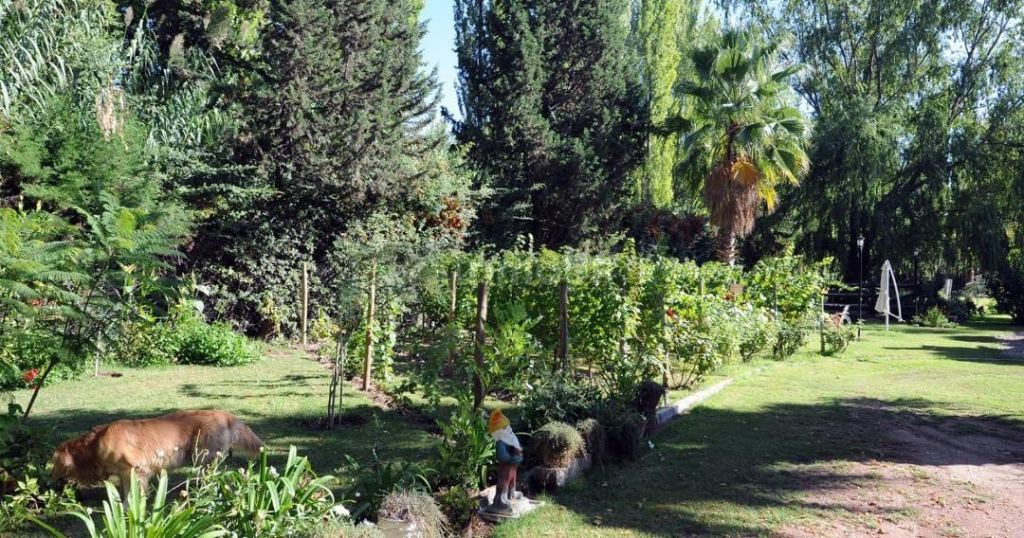 Hotel en Venta en Lujan de Cuyo, Mendoza