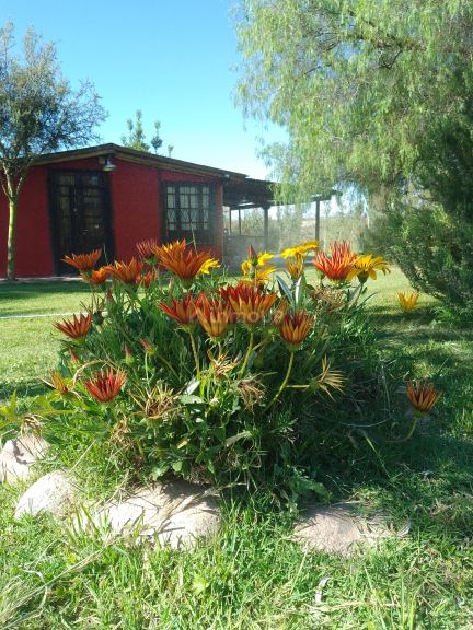 Casa en Alquiler en Lujan de Cuyo, Mendoza