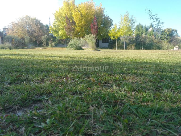 Casa en Alquiler en Lujan de Cuyo, Mendoza