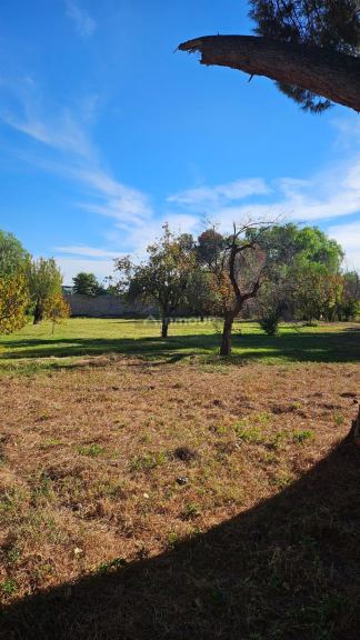 Bodega en Venta en Maipu, Mendoza