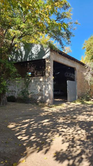 Bodega en Venta en Maipu, Mendoza