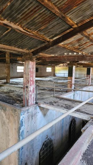 Bodega en Venta en Maipu, Mendoza