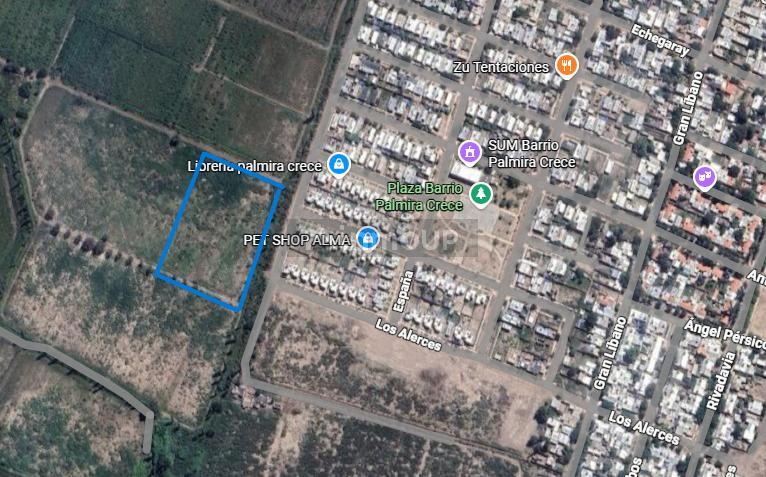 Terreno en Venta en San Martin, Mendoza