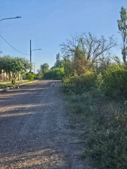 Terreno en Venta en San Martin, Mendoza