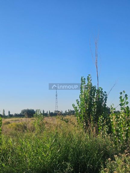 Terreno en Venta en San Martin, Mendoza