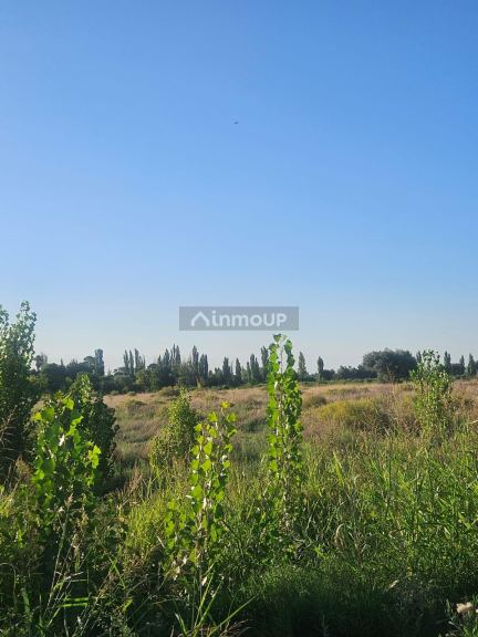 Terreno en Venta en San Martin, Mendoza