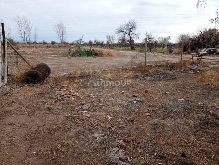 Lote en Venta en San Martin, Mendoza