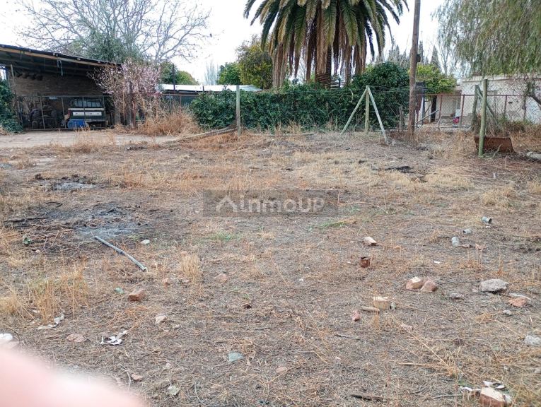 Lote en Venta en San Martin, Mendoza