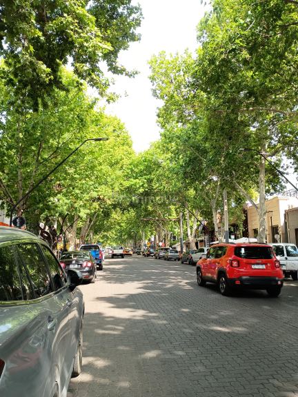 Departamento en Alquiler en Capital, Mendoza