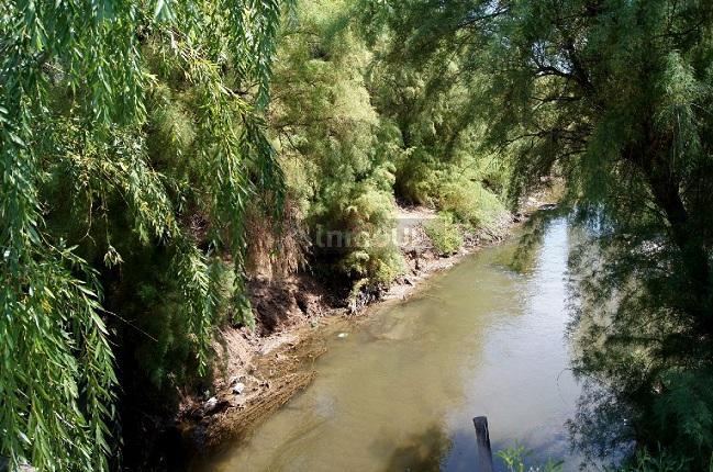 Finca en Venta en General alvear, Mendoza