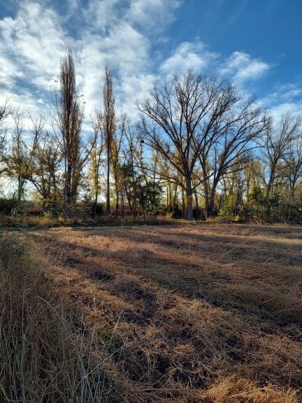 Lote en Venta en Junin, Mendoza