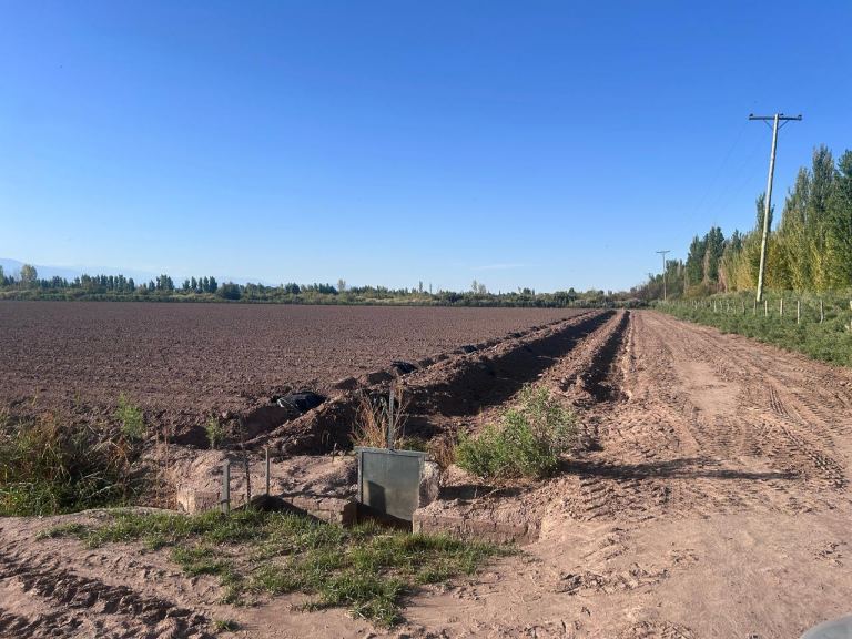 Finca en Venta en Lavalle, Mendoza