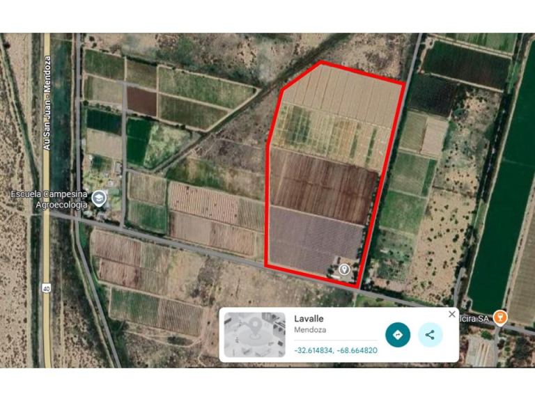 Finca en Venta en Lavalle, Mendoza