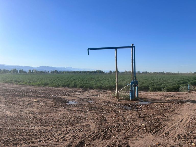 Finca en Venta en Lavalle, Mendoza