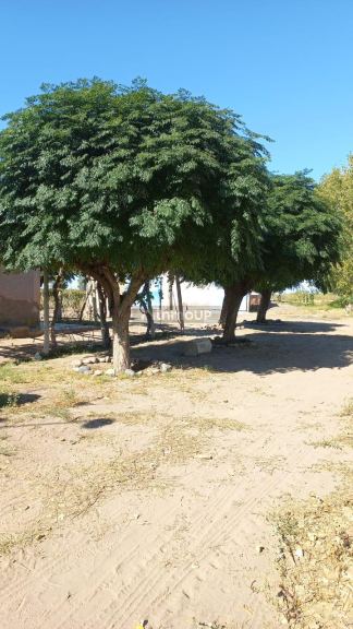 Finca en Venta en San Martin, Mendoza