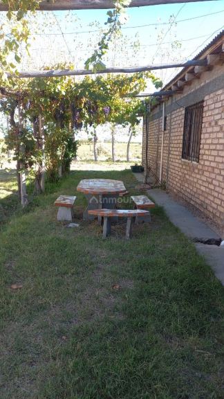 Finca en Venta en San Martin, Mendoza