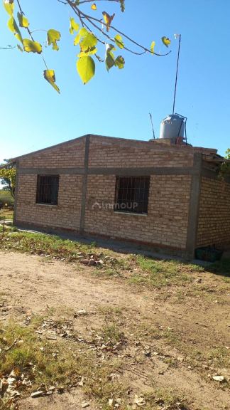 Finca en Venta en San Martin, Mendoza