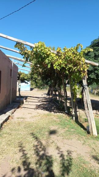 Finca en Venta en San Martin, Mendoza