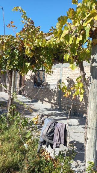 Finca en Venta en San Martin, Mendoza