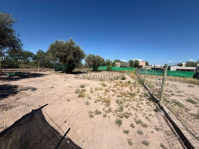 Lote en Venta en Lujan de Cuyo, Mendoza