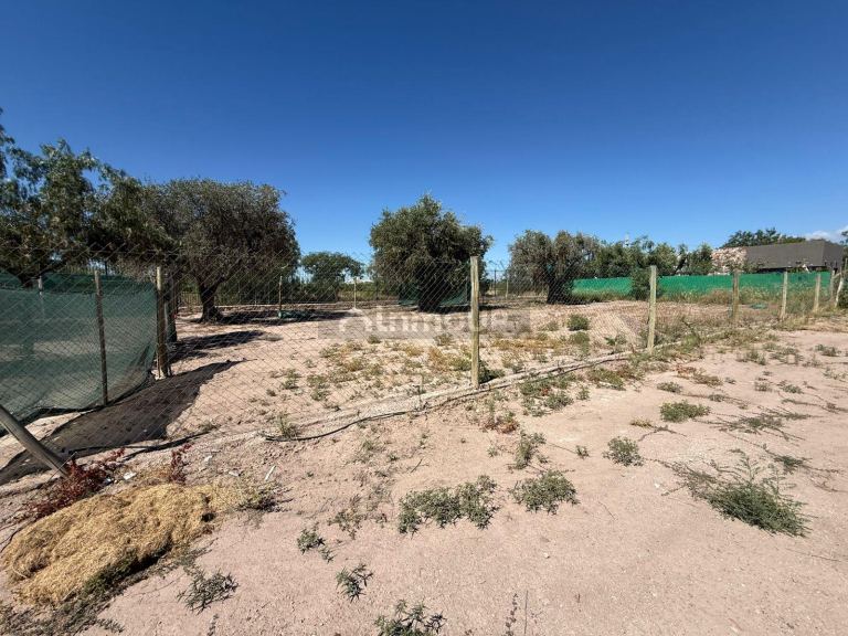 Lote en Venta en Lujan de Cuyo, Mendoza