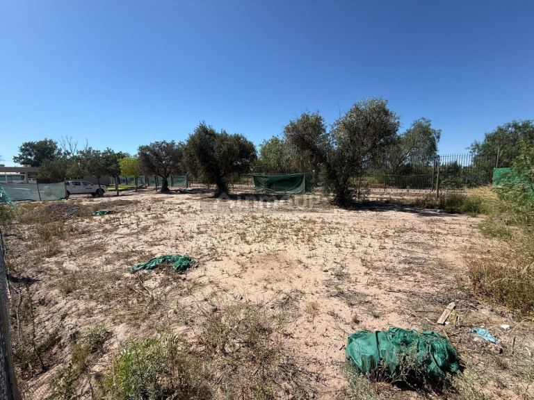 Lote en Venta en Lujan de Cuyo, Mendoza