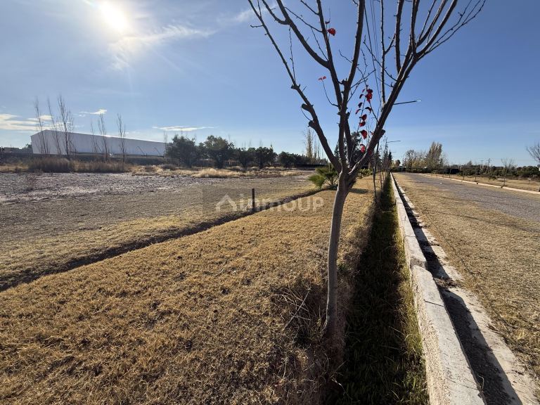 Lote en Venta en Maipu, Mendoza