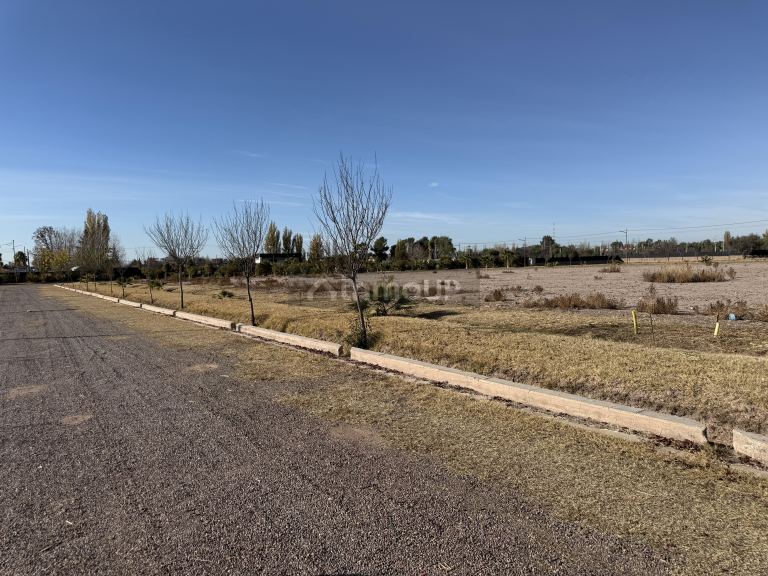 Lote en Venta en Maipu, Mendoza