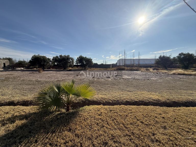Lote en Venta en Maipu, Mendoza