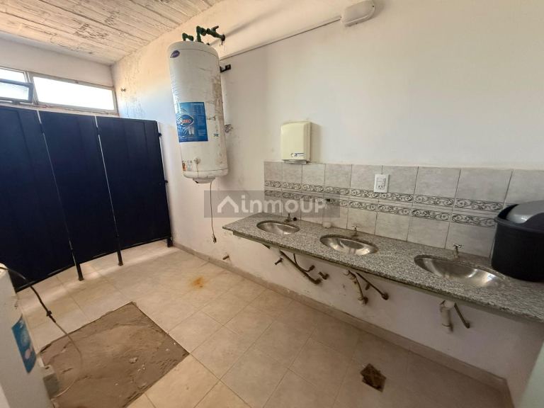 Galpon en Alquiler en Lujan de Cuyo, Mendoza - USD 11.000 | Inmoup - 15