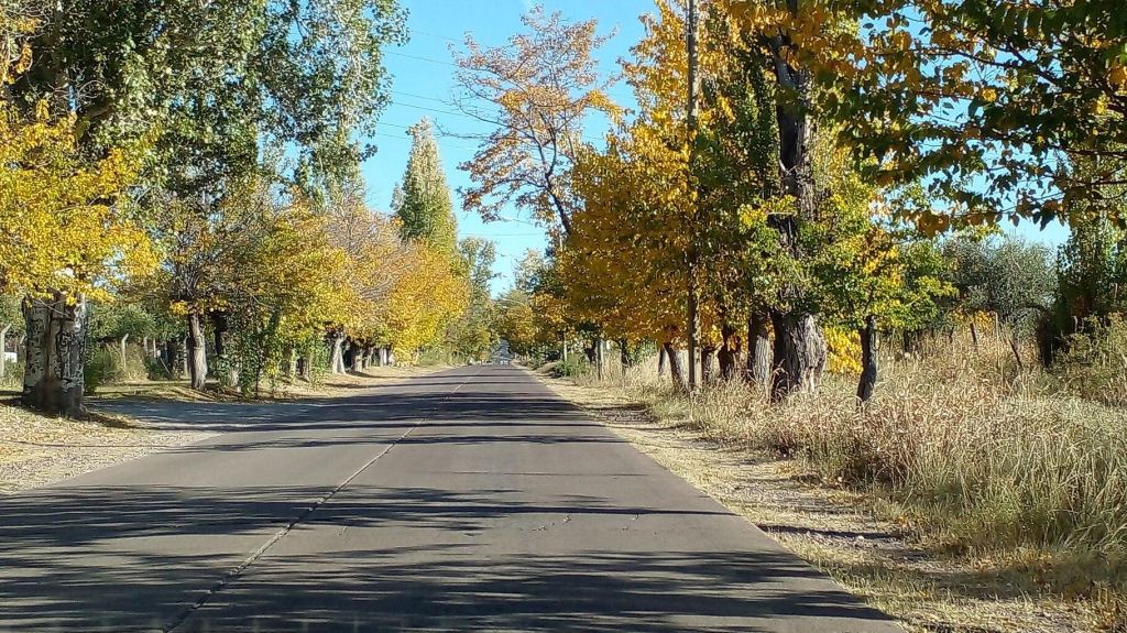 Terreno en Venta en Maipu, Mendoza