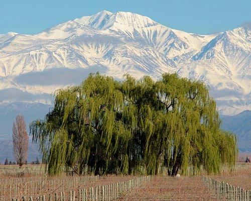 Terreno en Venta en Maipu, Mendoza