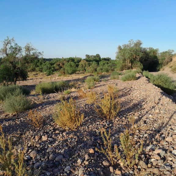 Terreno en Venta en Maipu, Mendoza
