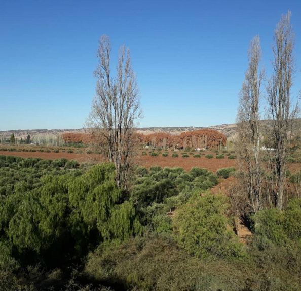 Terreno en Venta en Maipu, Mendoza