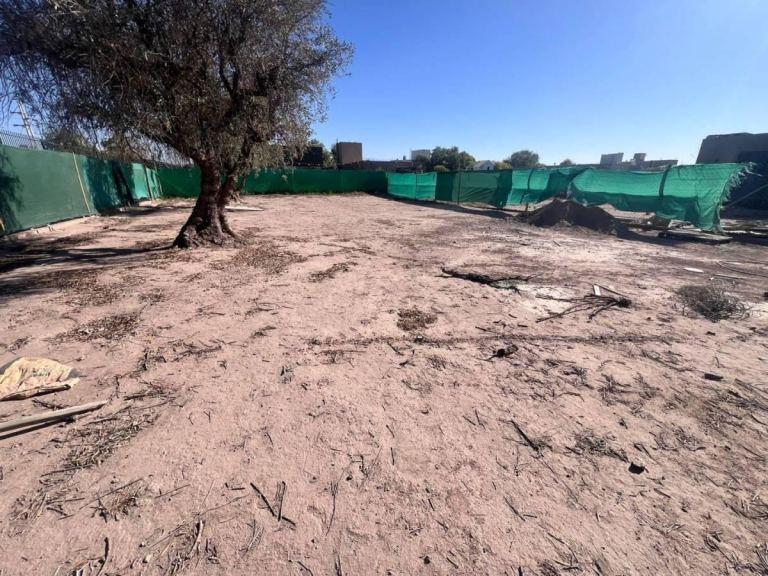 Terreno en Venta en Lujan de Cuyo, Mendoza