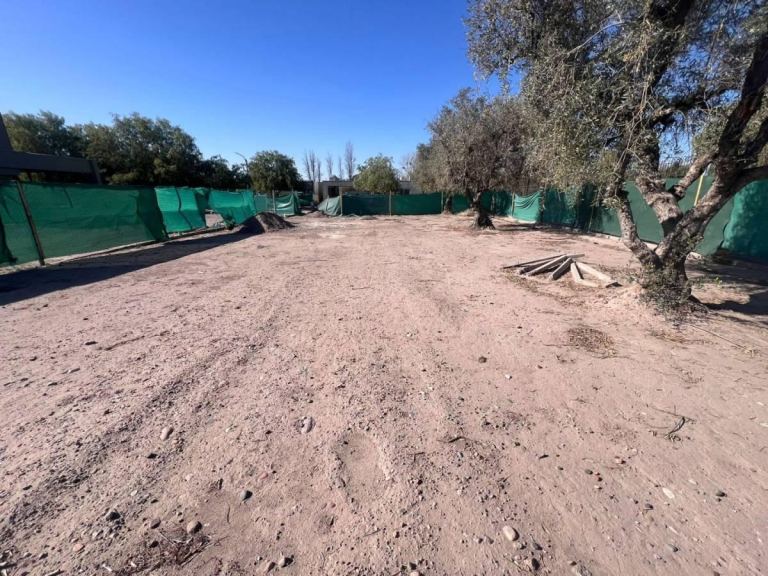 Terreno en Venta en Lujan de Cuyo, Mendoza