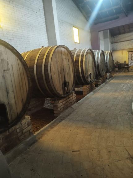 Galpon en Venta en Lujan de Cuyo, Mendoza