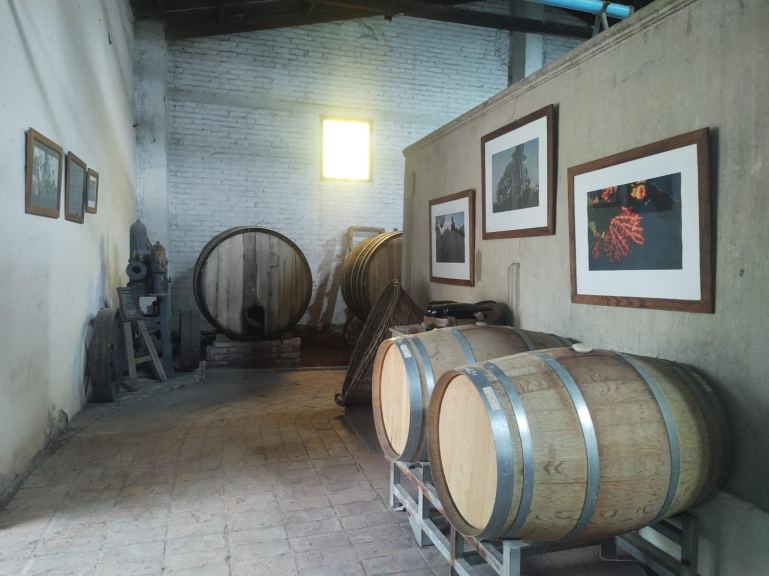Galpon en Venta en Lujan de Cuyo, Mendoza