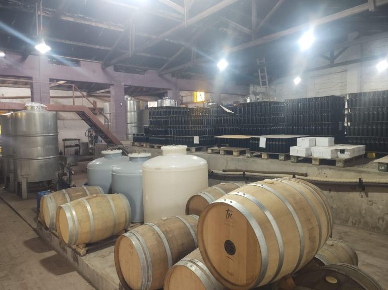Galpon en Venta en Lujan de Cuyo, Mendoza