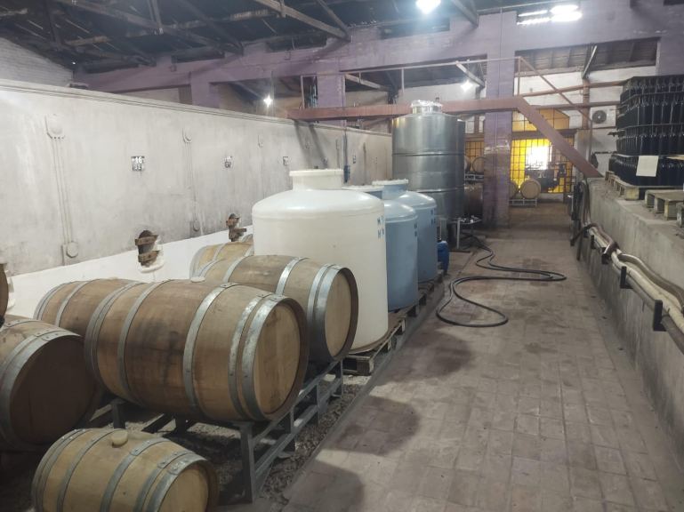 Galpon en Venta en Lujan de Cuyo, Mendoza